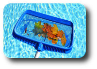 Pool Valeting Leaf Net